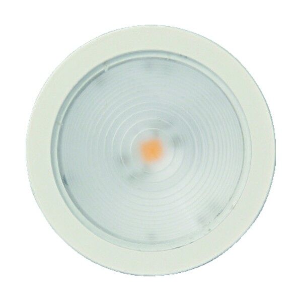 工業 (220021818)LEDライト SL-GX531-WNWT 1点