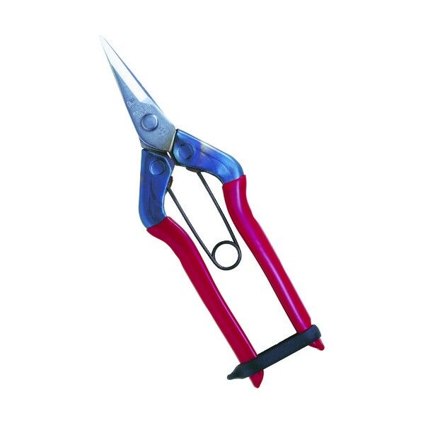 チカマサステンレス摘果鋏