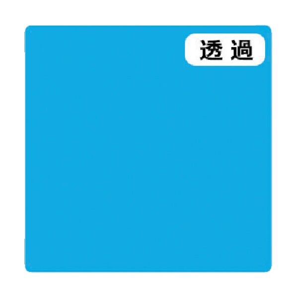 6300021317 1点