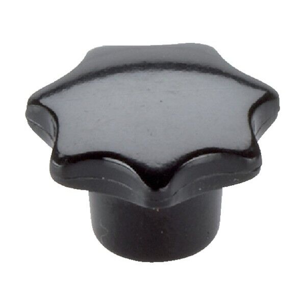 スターグリップ DIN6336 プラスチック 形状K スチール 24670.0225 1点