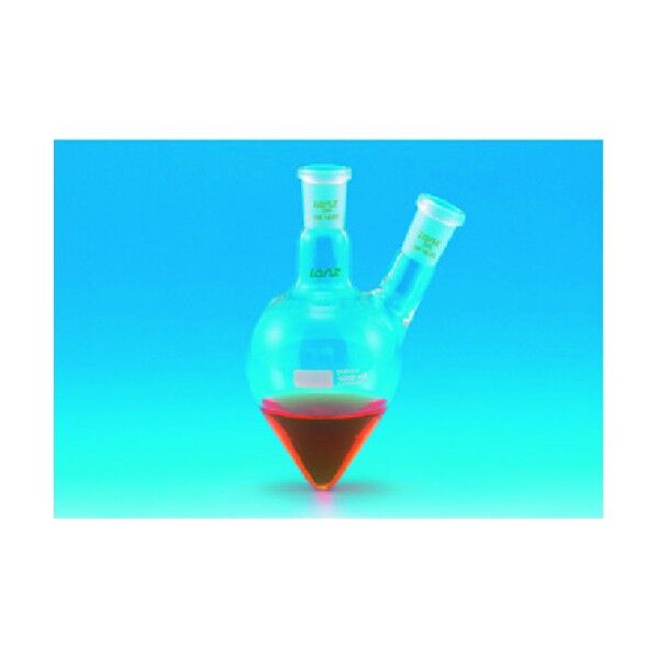 共通二口なし型フラスコ 25mL14/23 981-15-38-01 1点