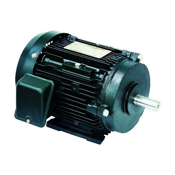 高効率モータ プレミアムゴールドモートル 出力55kW 馬力70HP FCK21E-2P-55KW 1点