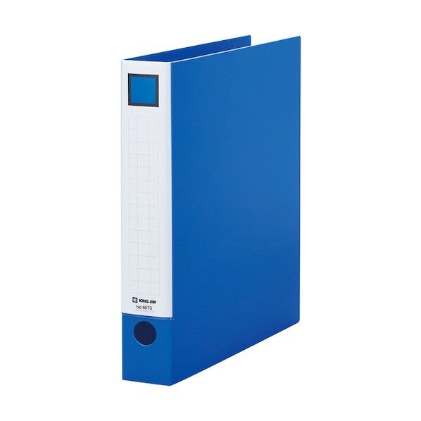 レバ-リングファイル 青 6673B 1点