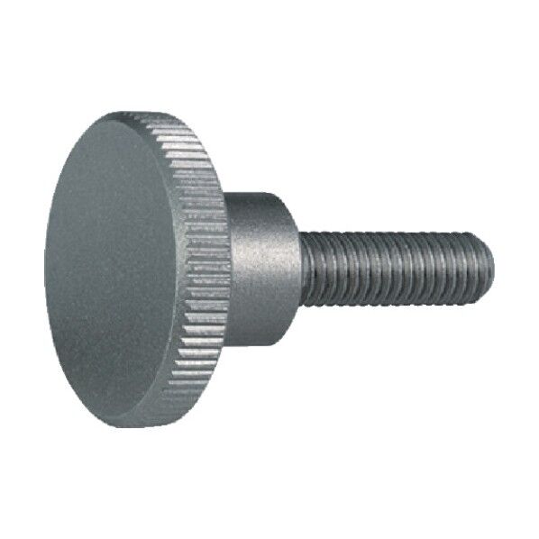 ロングヘッドナールドボルト DIN 464 ステンレス鋼 24790.0274 1点