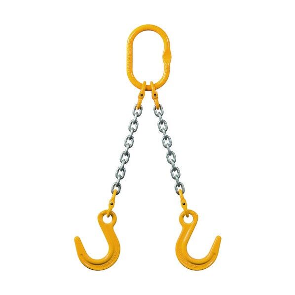 象印 チェーンスリング100(アイタイプ) 2-MFF-YN-16 1台