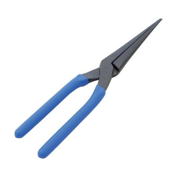 キクシボリペンチ