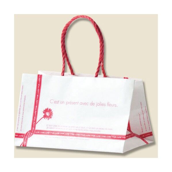 手提げ紙袋 Pスムースバッグ 25-15 ルバン