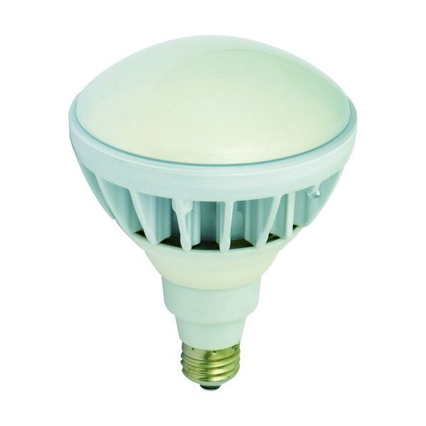 LED交換球 ハイスペックエコビック20W E26 昼白色 433g L20W-JW110-50K