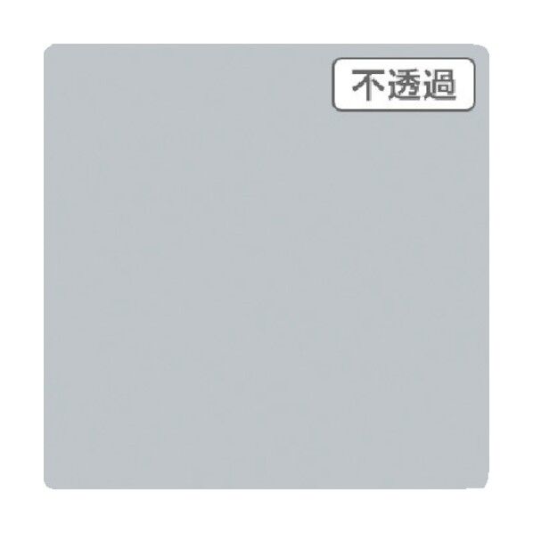 6300021513 1点