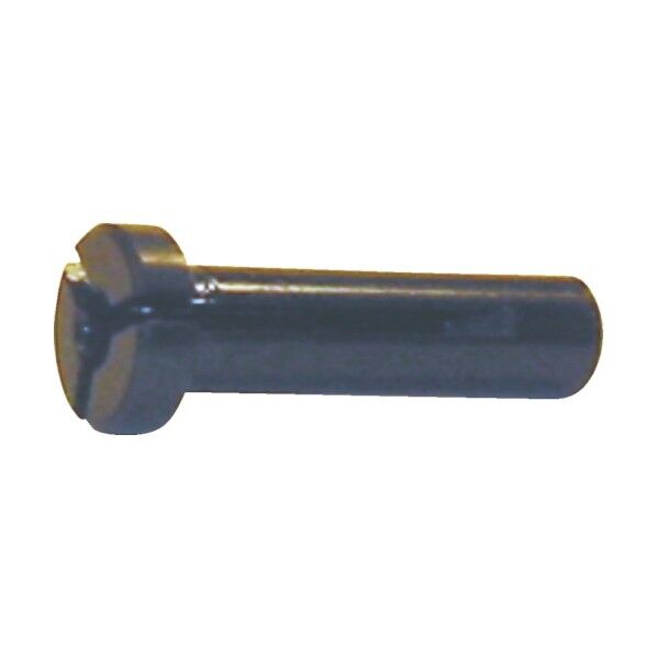 コレットブッシュ