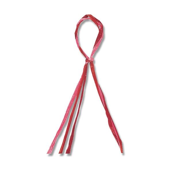 HEIKO リボン Rラフィアトリプル 3mm幅×30m巻 チョコ 001501908 1点