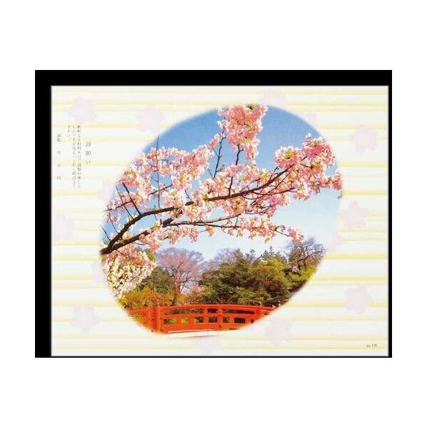 折掛紙 No.115 (コート) 60120 1点