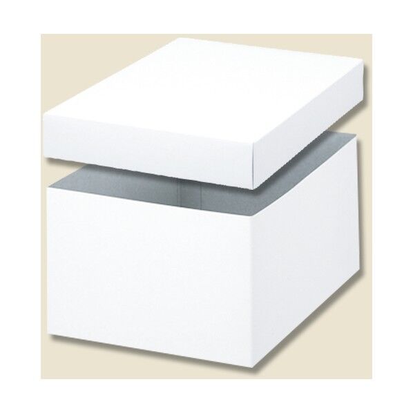 白無地箱 バラエティボックス 0-11-100 006840000 10枚
