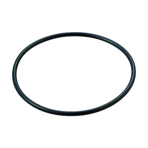 樹脂製フィルターハウジング1MNタイプ 交換パーツ 5g CM017-02001-5-E