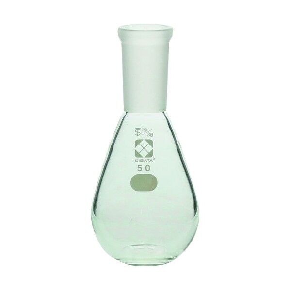 共通摺合平底なす形フラスコ 19/38