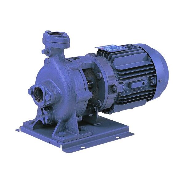 FVD型ブルテックスポンプ 50Hz 口径50mm 出力1.5kW 50FVD51.5B 1点