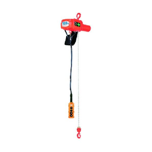 電気チェーンブロック 250kg 揚程6m ASVK2560 1点