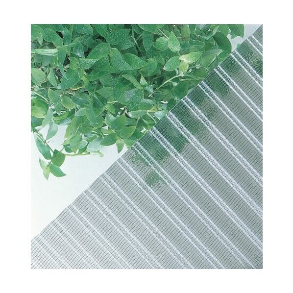 ヒシ波ガラスネット