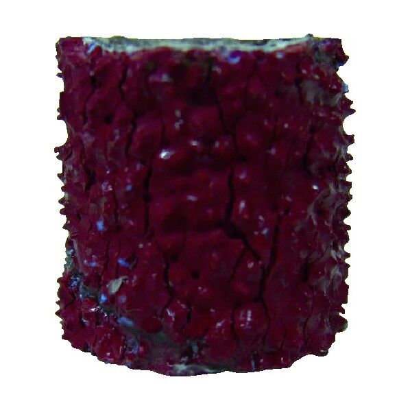 マイン　コッピングドラム　（５個入）