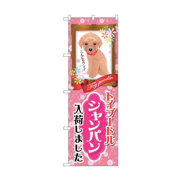 city のぼり旗 トイプードル シャンパン 入荷 No.GNB-2458 W600×H1800 6300013106 1点
