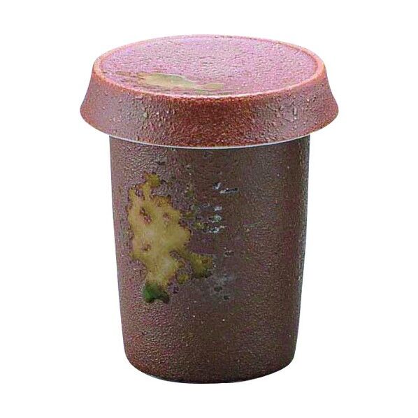 エムズジャパン 美濃伊賀ヒレ酒 D02-16 RSK6701 1個