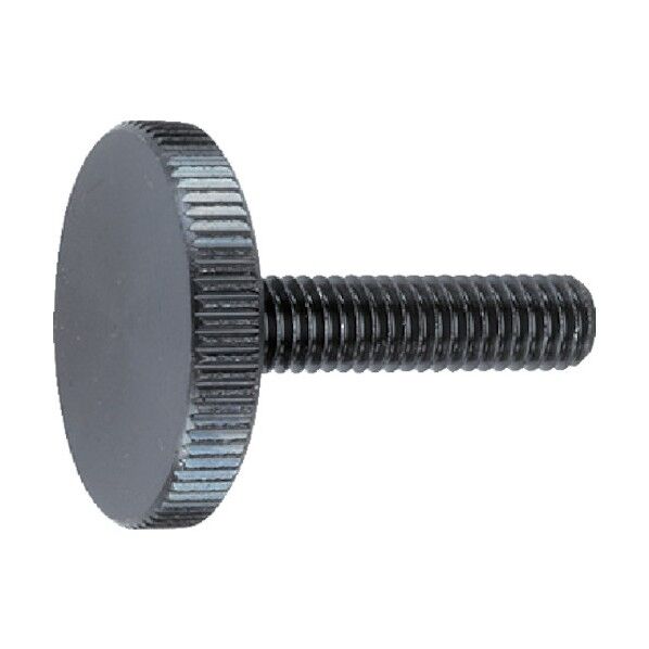 フラットナールドボルト DIN 653 スチール 24770.0072 1点