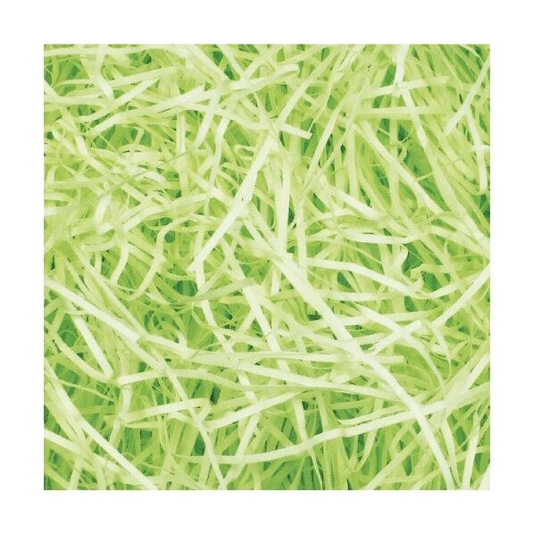 紙パッキン 1kg ワカクサ 35-5831 1袋