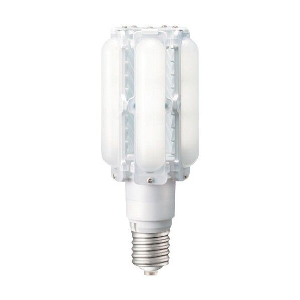 LEDライトバルブ 60Wランプ(昼白色) LDTS60N-G-E39 1本