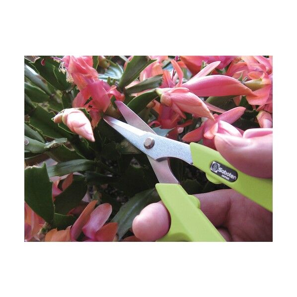 サボテン 園芸鋏シャインカットプラス ライムグリーン 1280SL 1点...