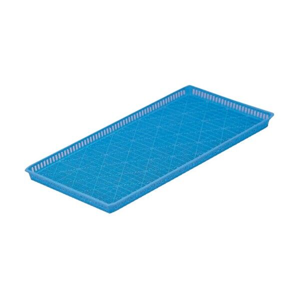 エビラ 118970 KAG-EBIRA 1点