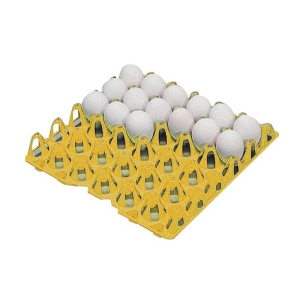 エッグトレ- 629506 296x29630卵用イエロー EGT4Y 1点