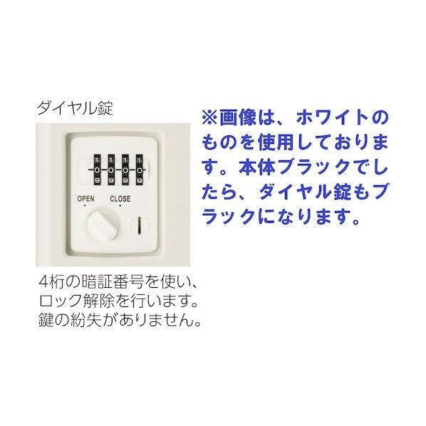 扉小スリット穴付き(4人用+下段オープン) ブラック SSN45PB-4KSAB-NBK 1点