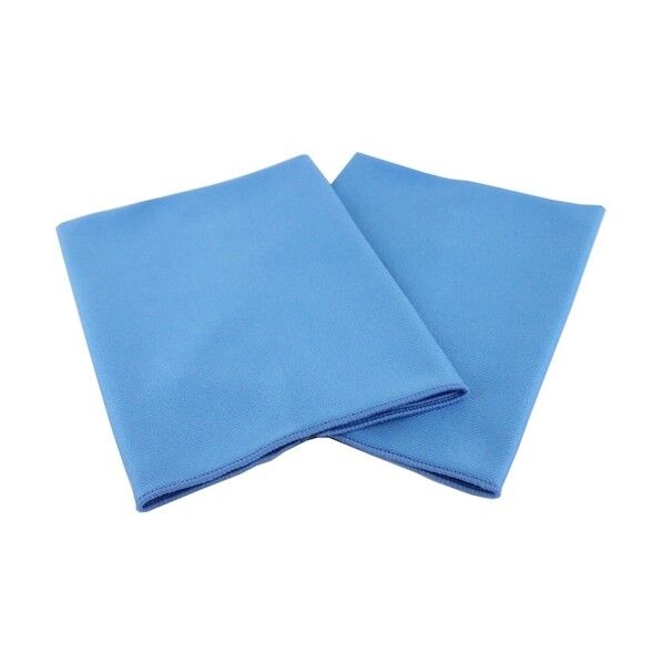 虫とり一発 ブルー F111 2枚