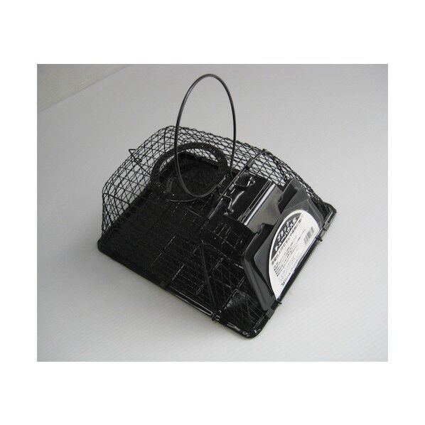 ・チューハウス型