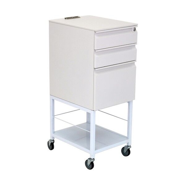 台車 チェックリスト台車 395×550×1000 ホワイト