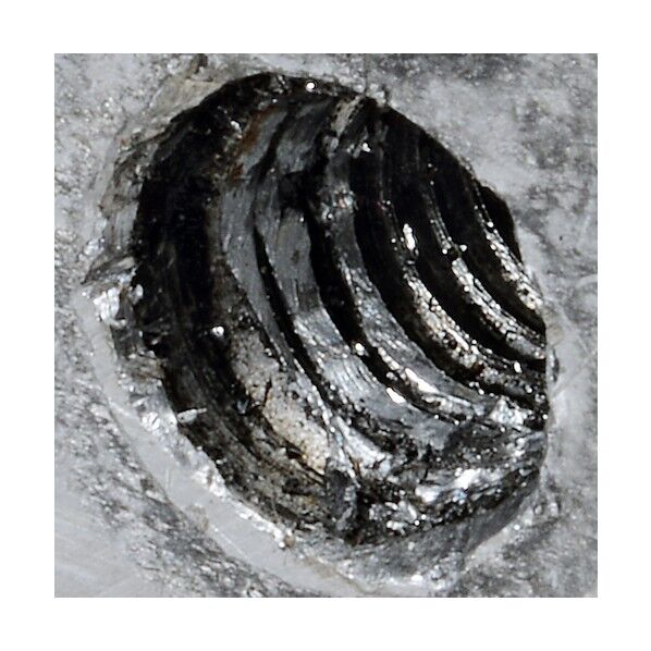 インサートねじ(タングレス) M10×1.5mm 1.5D 9415 100個