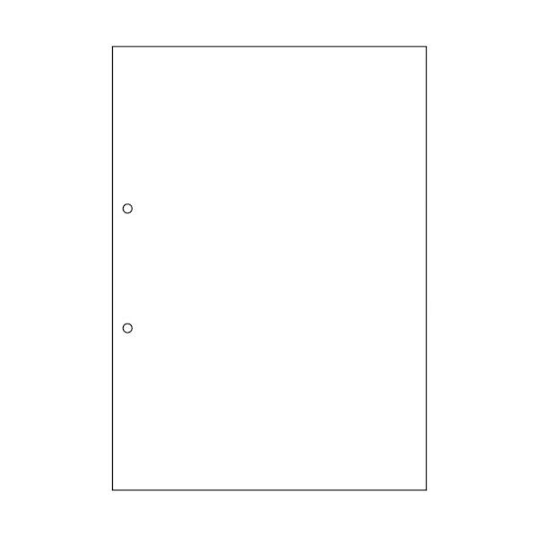 FSC(R)認証マルチプリンタ帳票 複写タイプ A4 ノーカーボン 白紙2穴 FSCF2001 100枚