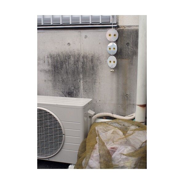 ピカット!3兄弟