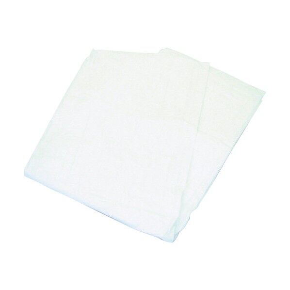 ACE ホワイトシート 中薄 Kシート #2000タイプ 3.6mX5.4m WS-3654(K) 1点