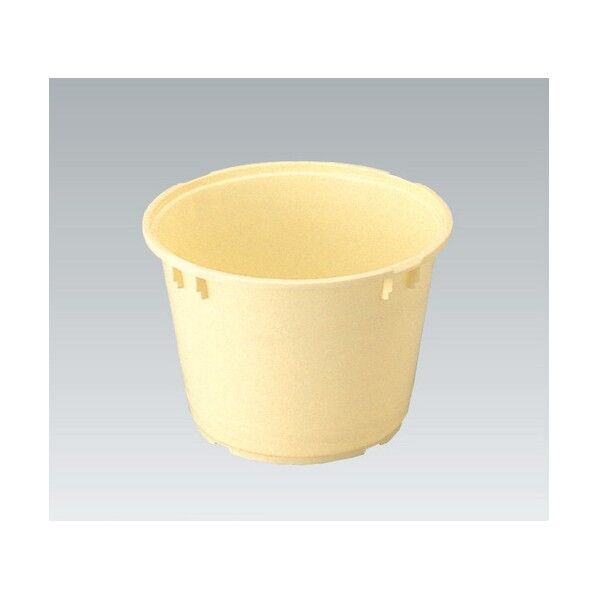 タル#5 400505 クリーム 400505CL00 1点