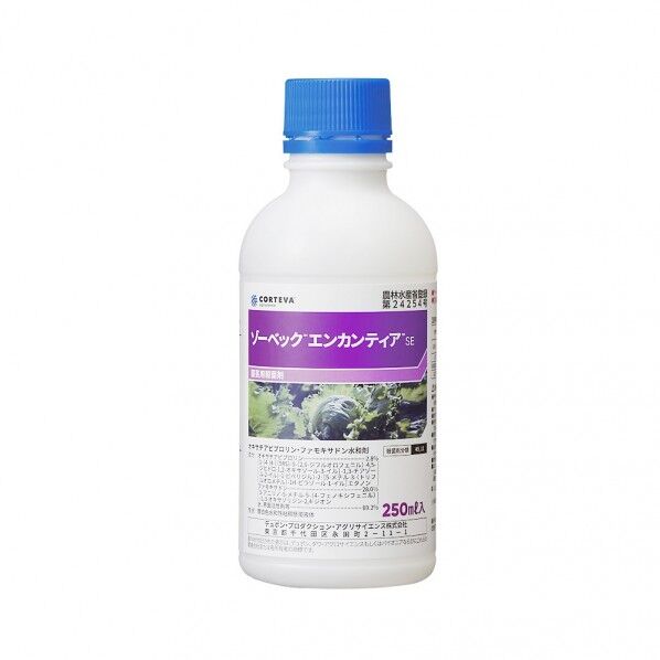 ゾーベックエンカンティアSE 250ml