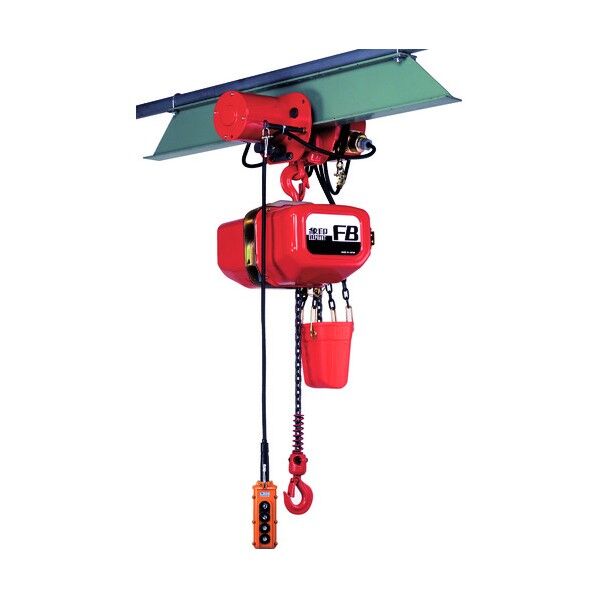 電気チェーンブロック 1t 揚程9m F6M01090 1点