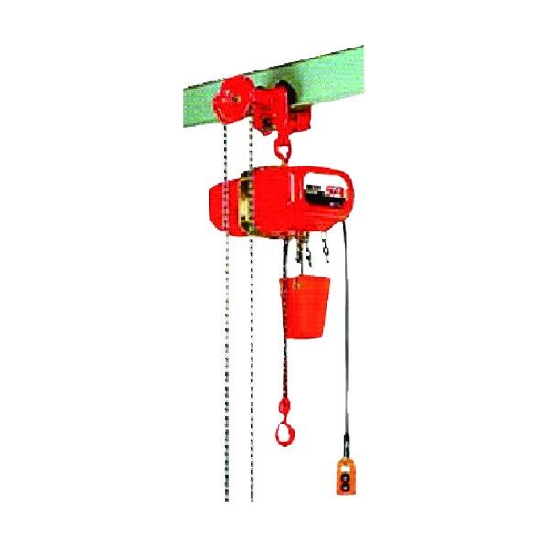 電気チェーンブロック 250kg 揚程5m SAGK2550 1点