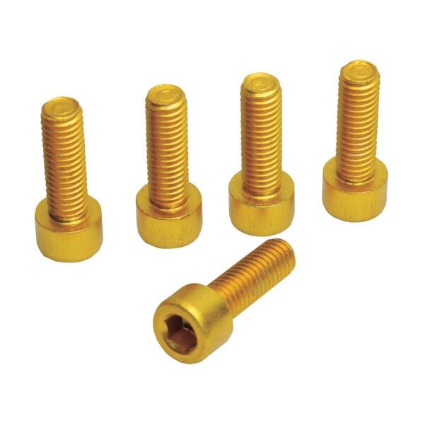 ワールドツール 5PC ボトルケージ用ボルト ゴールド 26-08301 5袋...