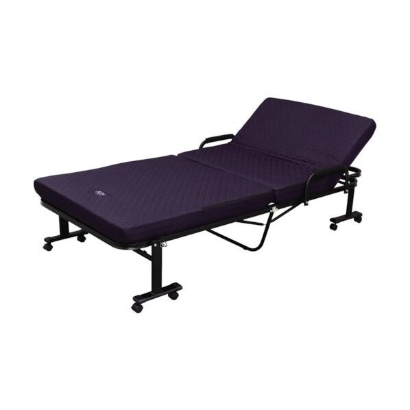 エアリーマットレス付きリクライニングベッド OTB-ARH 1個