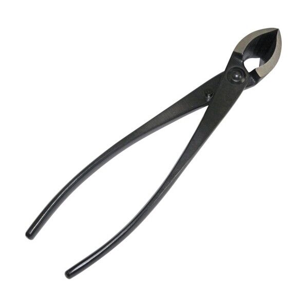 兼次又枝切(大) 3511 1