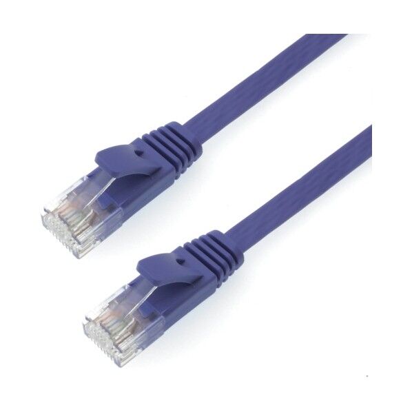 LANケーブル UTP カテゴリー6A フラット 1m パープル LC10-505FB 1本