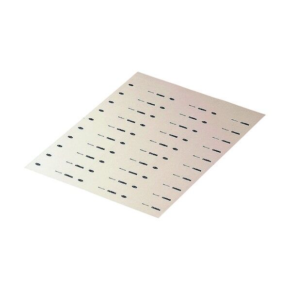 フードローテーションラベル(新タイプ) ALB1101 100枚