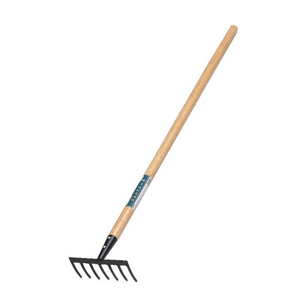 4031