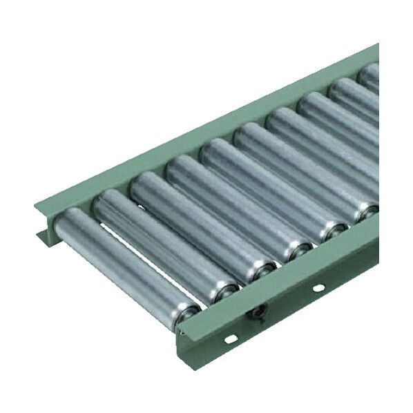 太陽工業 TR-B3812T型 ローラー幅200W×P50×機長3000L(フレーム低床型) B3812T-200-50-3000 1点